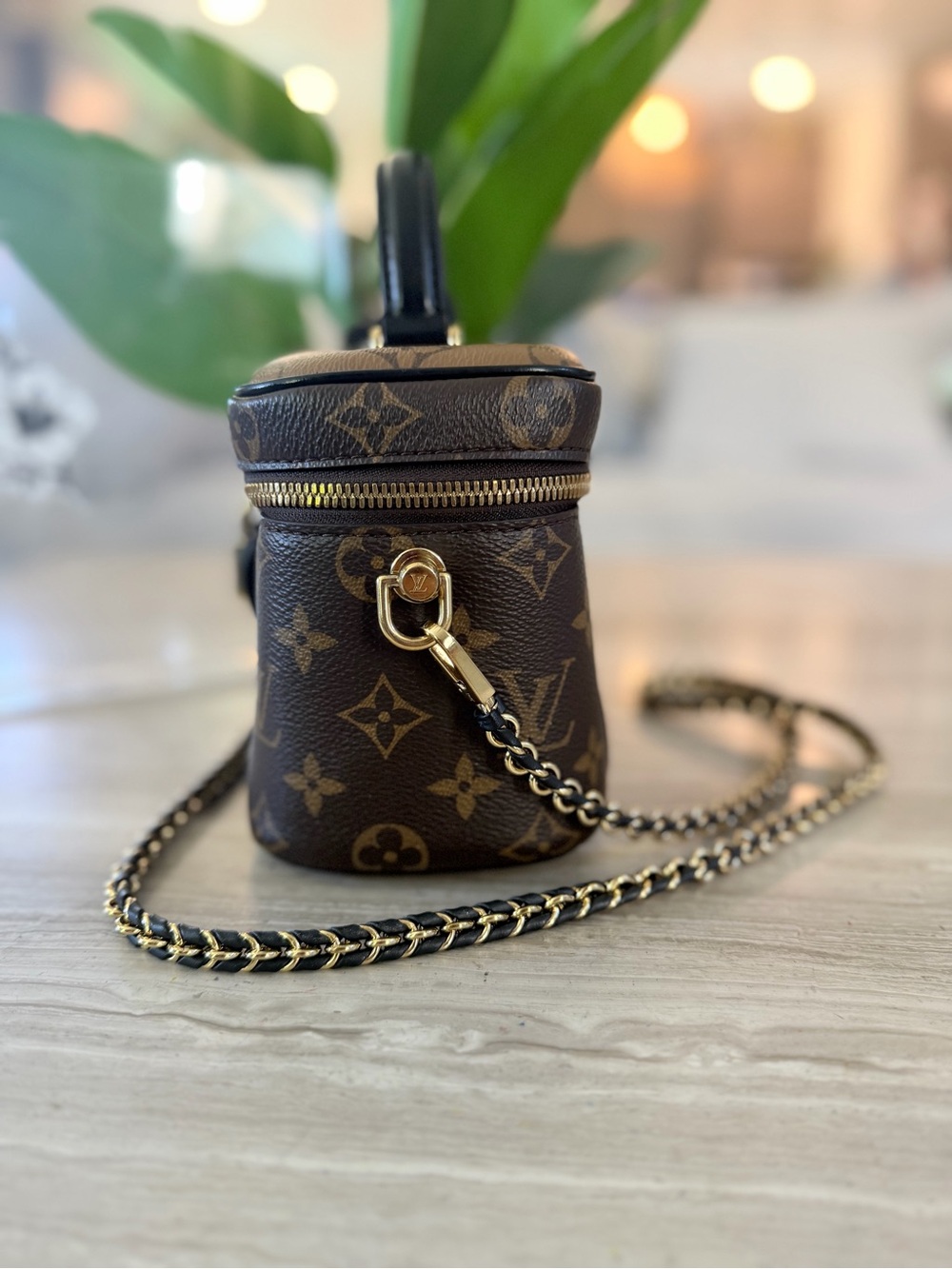 Louis Vuitton Reverse Monogram Vanity PM - Picture 5 of 14